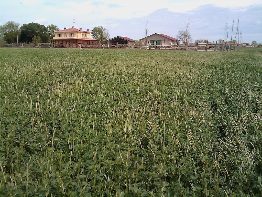 Valle Rillo Agriturismo Comacchio Exterior foto