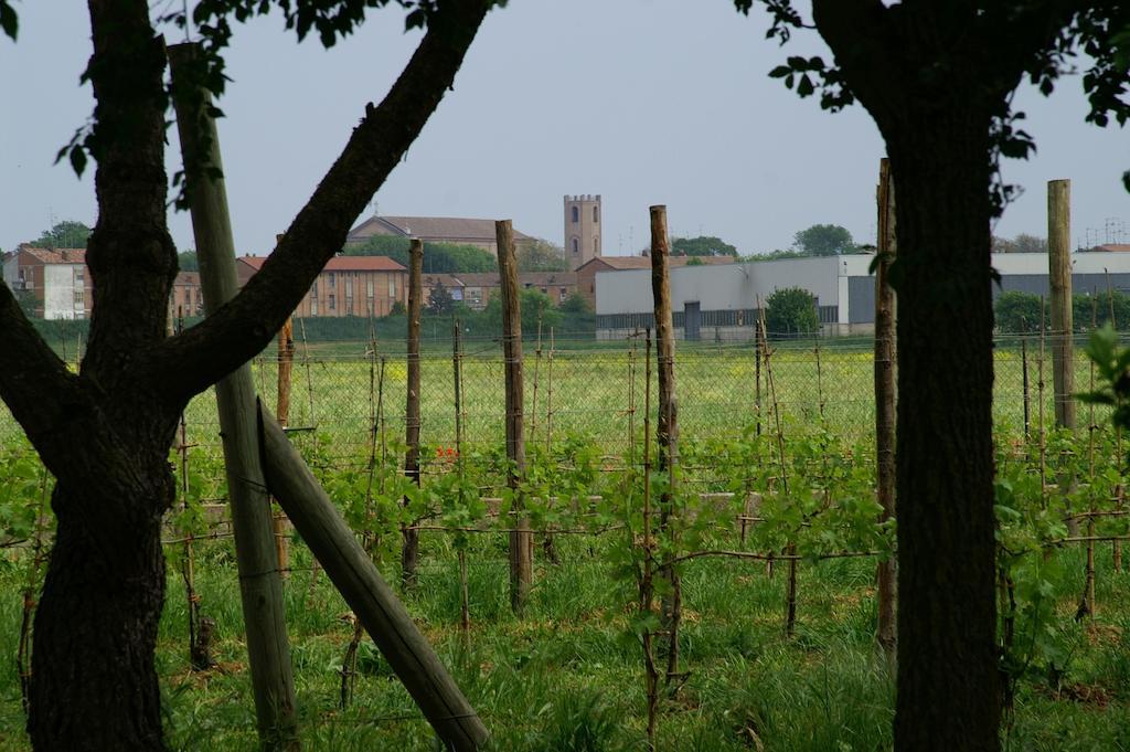 Valle Rillo Agriturismo Comacchio Exterior foto